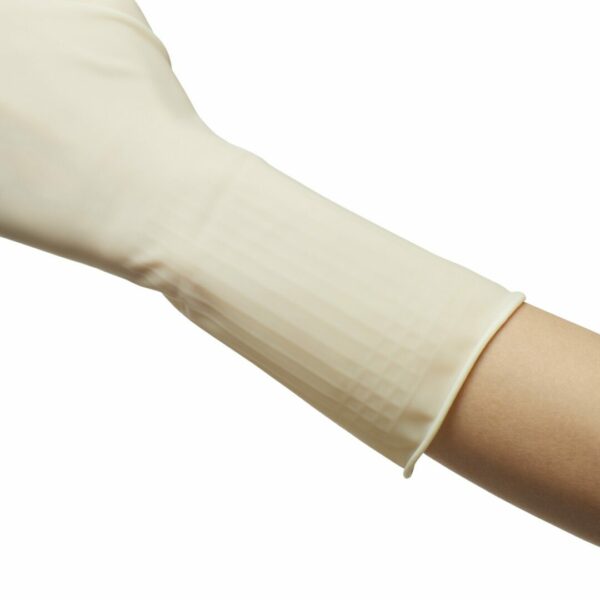 Protexis PI Classic Polyisoprene Standard Cuff Length Surgical Glove, Size 6½, Ivory